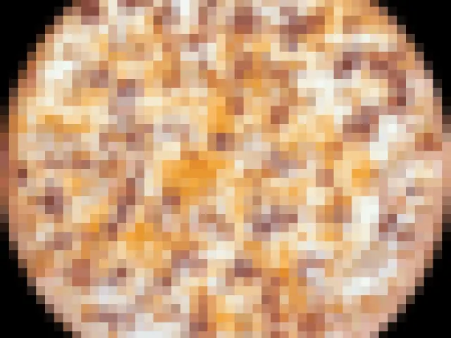 Chicken Bacon Ranch Pizza